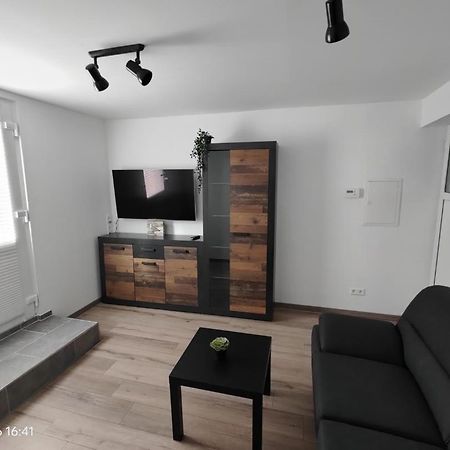 Ferienwohnung Wildgans 2 Dollart Ostfriesland Ditzumerverlaat Eksteriør billede